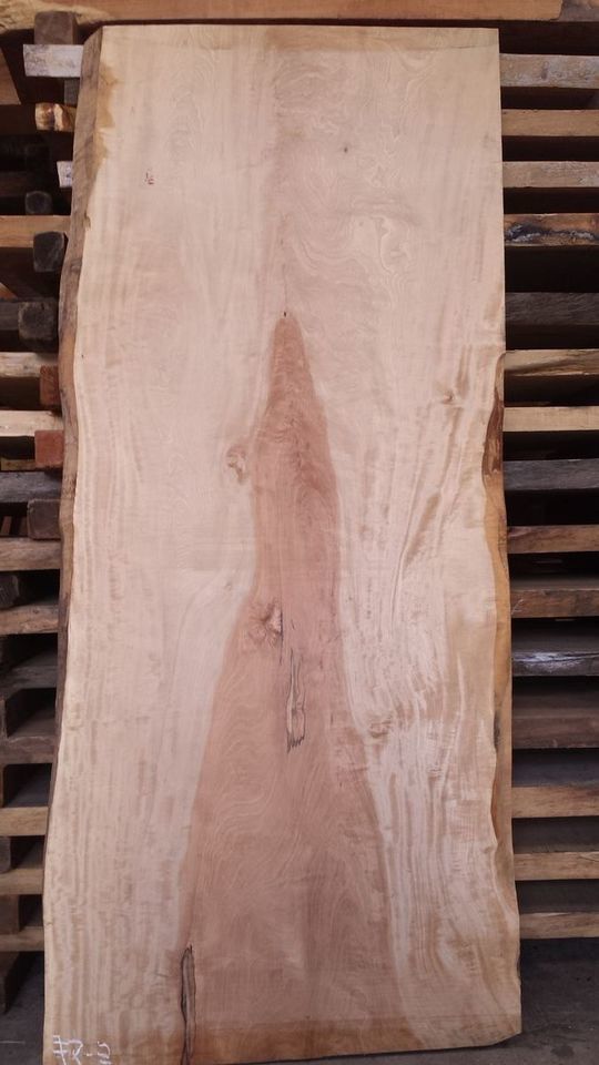 ※現状渡し コブ付き栃 一枚板 一枚板栃