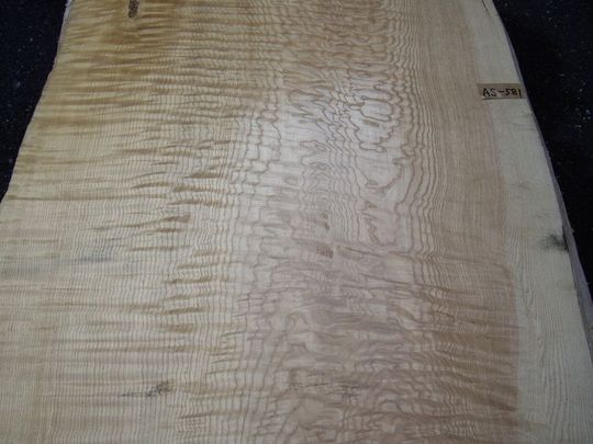 一枚板 ダイニングテーブル シオジ